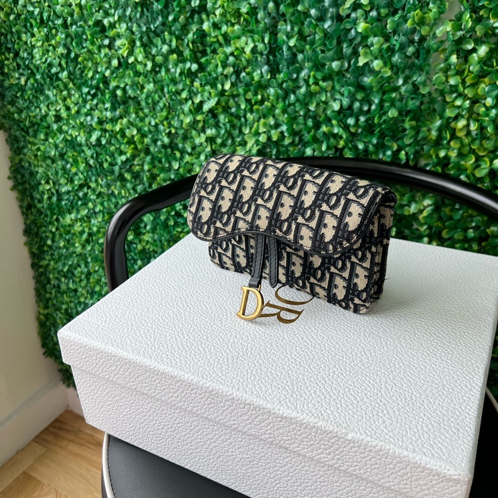 Christian Dior Saddle Belt Pouch
